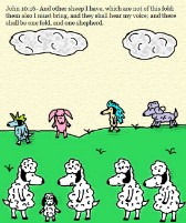 Sheep clipart